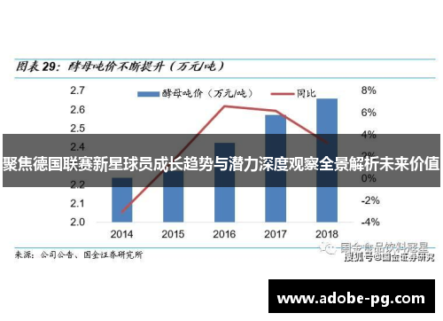 聚焦德国联赛新星球员成长趋势与潜力深度观察全景解析未来价值